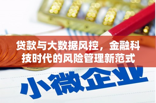 新北贷款与大数据风控，金融科技时代的风险管理新范式
