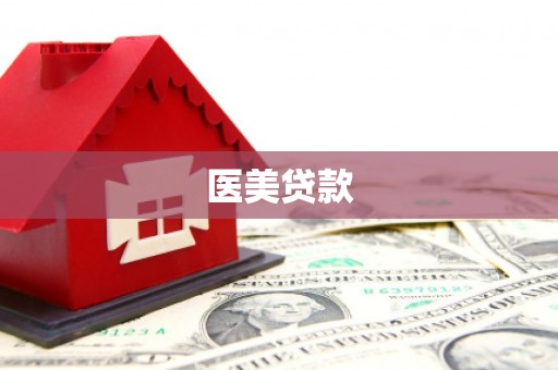 新北医美贷款