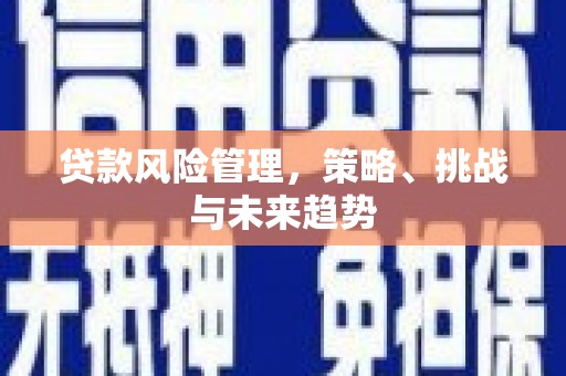 新北贷款风险管理，策略、挑战与未来趋势