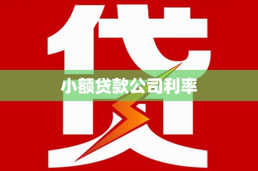新北小额贷款公司利率