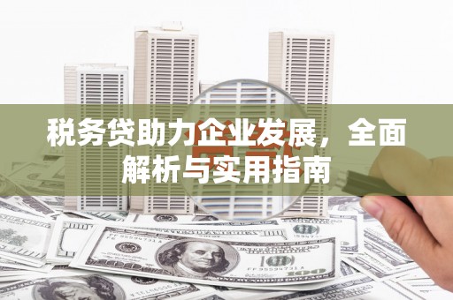 新北税务贷助力企业发展，全面解析与实用指南