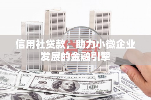 新北信用社贷款，助力小微企业发展的金融引擎