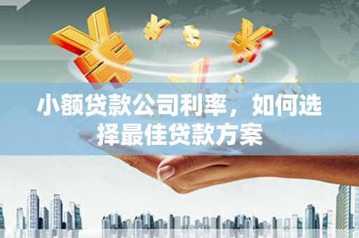 新北小额贷款公司利率，如何选择最佳贷款方案