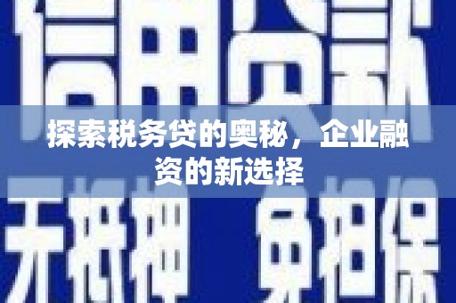 新北探索税务贷的奥秘，企业融资的新选择