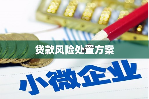 新北贷款风险处置方案