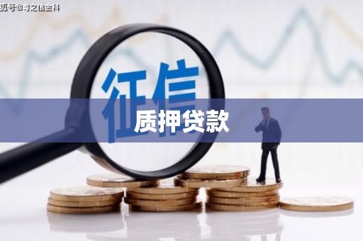 新北质押贷款