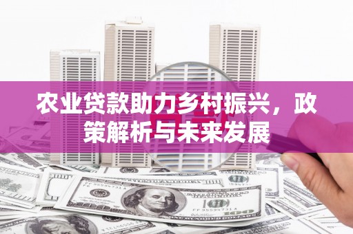 新北农业贷款助力乡村振兴，政策解析与未来发展