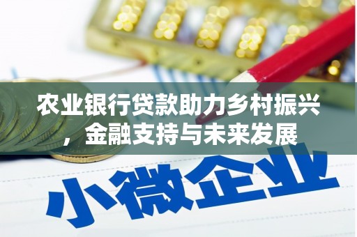 新北农业银行贷款助力乡村振兴，金融支持与未来发展