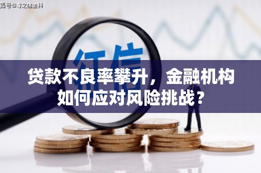 新北贷款不良率攀升，金融机构如何应对风险挑战？