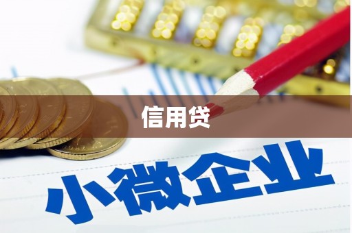 新北信用贷