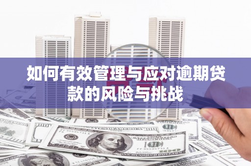 新北如何有效管理与应对逾期贷款的风险与挑战