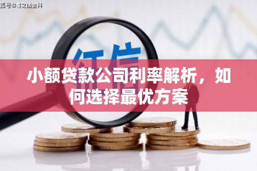新北小额贷款公司利率解析，如何选择最优方案