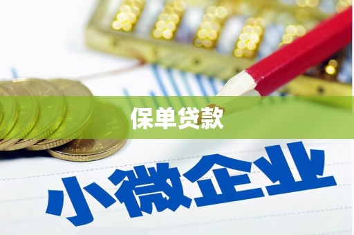 新北保单贷款
