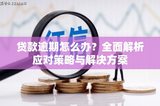新北贷款逾期怎么办？全面解析应对策略与解决方案