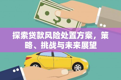 新北探索贷款风险处置方案，策略、挑战与未来展望
