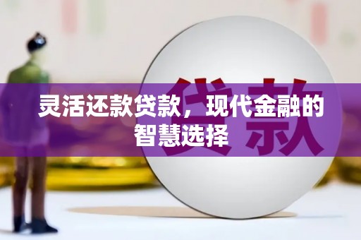 新北灵活还款贷款，现代金融的智慧选择