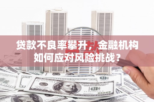 新北贷款不良率攀升，金融机构如何应对风险挑战？