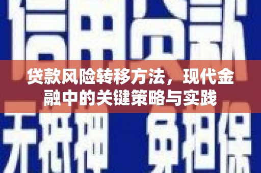 新北贷款风险转移方法，现代金融中的关键策略与实践