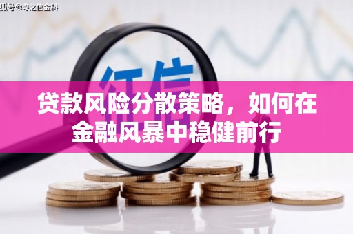 新北贷款风险分散策略，如何在金融风暴中稳健前行