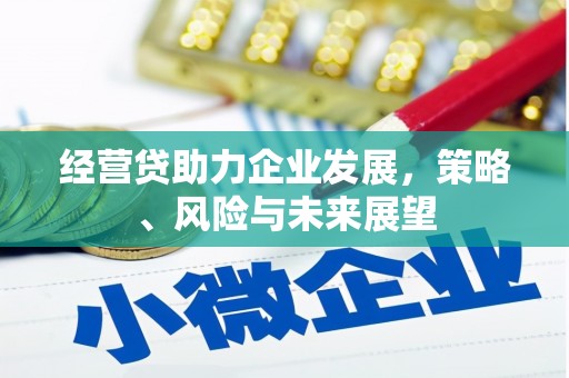 新北经营贷助力企业发展，策略、风险与未来展望