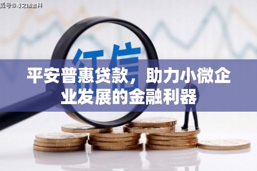 新北平安普惠贷款，助力小微企业发展的金融利器