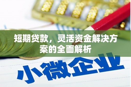新北短期贷款，灵活资金解决方案的全面解析