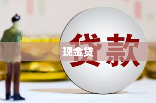 新北现金贷