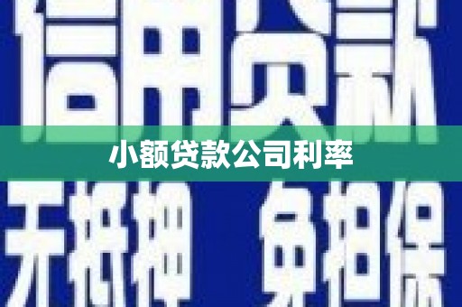 新北小额贷款公司利率