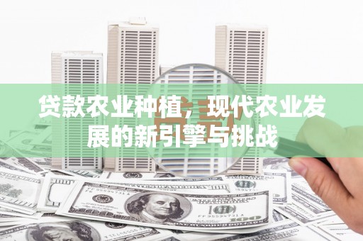新北贷款农业种植，现代农业发展的新引擎与挑战