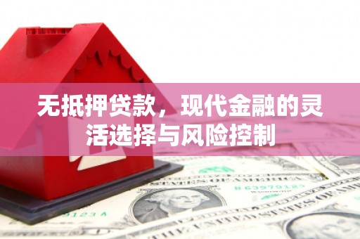 新北无抵押贷款，现代金融的灵活选择与风险控制