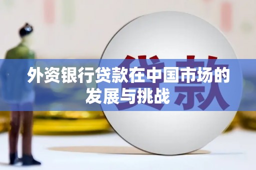 新北外资银行贷款在中国市场的发展与挑战