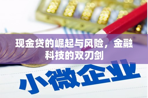 新北现金贷的崛起与风险，金融科技的双刃剑
