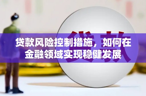 新北贷款风险控制措施，如何在金融领域实现稳健发展