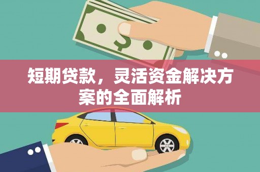 新北短期贷款，灵活资金解决方案的全面解析