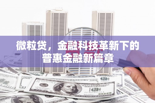 新北微粒贷，金融科技革新下的普惠金融新篇章