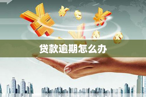 新北贷款逾期怎么办