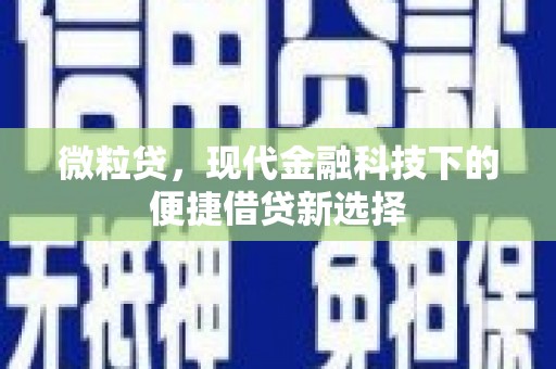 新北微粒贷，现代金融科技下的便捷借贷新选择