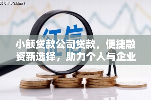 新北小额贷款公司贷款，便捷融资新选择，助力个人与企业成长