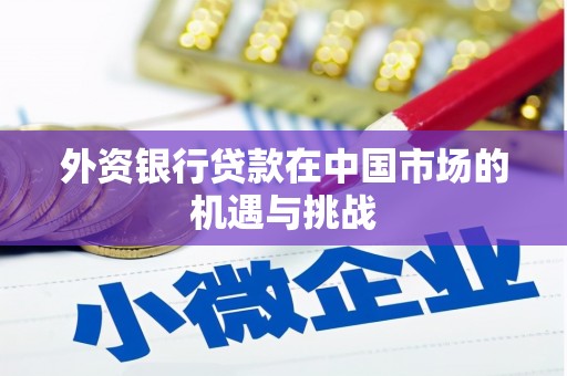 新北外资银行贷款在中国市场的机遇与挑战