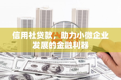 新北信用社贷款，助力小微企业发展的金融利器