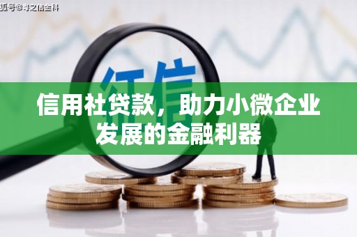 新北信用社贷款，助力小微企业发展的金融利器
