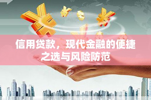 新北信用贷款，现代金融的便捷之选与风险防范
