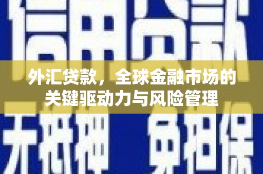 新北外汇贷款，全球金融市场的关键驱动力与风险管理