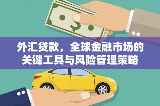 新北外汇贷款，全球金融市场的关键工具与风险管理策略