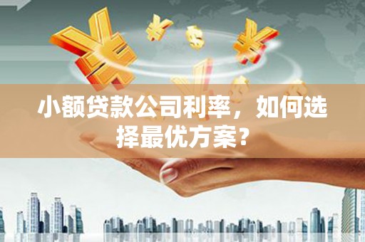 新北小额贷款公司利率，如何选择最优方案？