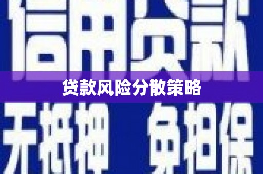 新北贷款风险分散策略