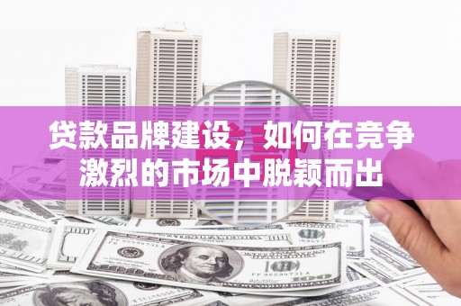 新北贷款品牌建设，如何在竞争激烈的市场中脱颖而出