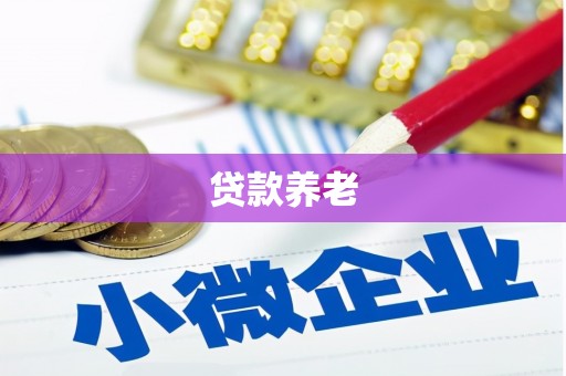 新北贷款养老