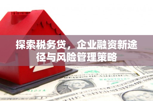 新北探索税务贷，企业融资新途径与风险管理策略