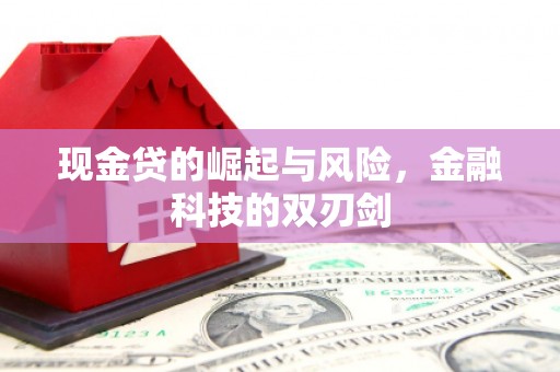 新北现金贷的崛起与风险，金融科技的双刃剑